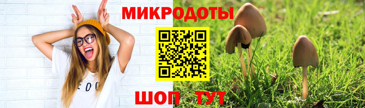 Псилоцибиновые грибы Cubensis Кызыл